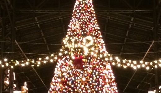 ディズニーランドのクリスマス☆2017年のグッズやパレードなど詳細をご紹介！